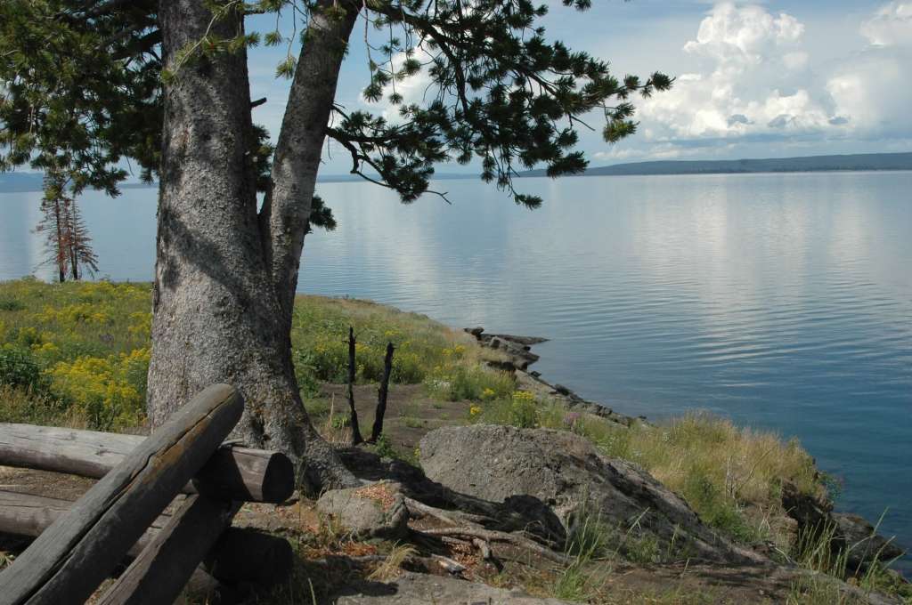 Lake, tree, clouds, water